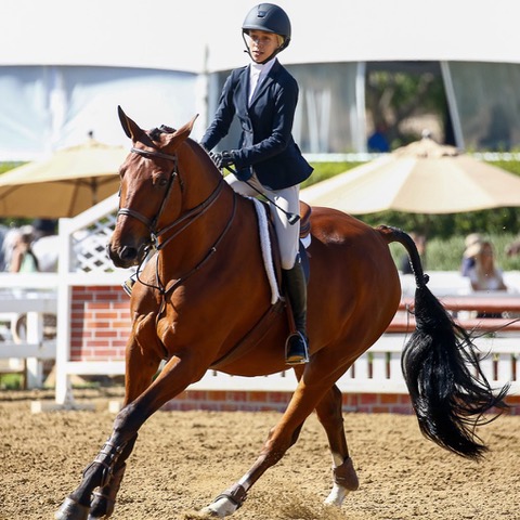 Gable Gering and Decklin CPHA Finals Reserve Champion, 14 & Under 2019 Showpark Photo by Captured Moment Photography