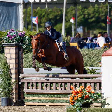 Gable Gering and Decklin CPHA Finals Reserve Champion, 14 & Under 2019 Showpark Photo by Captured Moment Photography