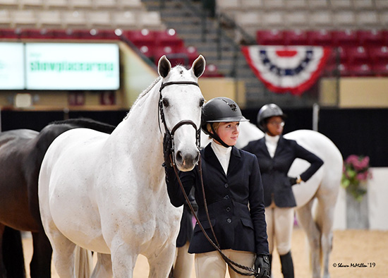 Emily Williams and Beach Boy 2019 Capital Challenge Champion Small Junior Hunter 16-17 Grand Champion Junior Hunter 16-17 Photo by Shawn McMillen