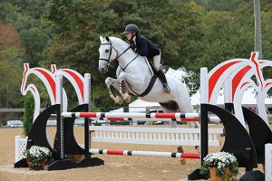 Emily Williams and Beach Boy 2019 Capital Challenge Equitation 17 yrs Photo by Laura Wasserman