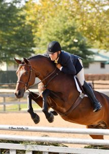 Laura Wasserman's Boss and John French 2019 Capital Challenge 3'6" Performance Hunter Reserve Champion Photo by Shawn McMillen