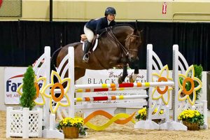 Stella Wasserman and Cohiba VDL 2019 Capital Challenge Equitation 13–14 Photo by Laura Wasserman