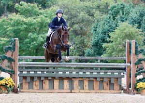 Stella Wasserman and Cohiba VDL 2019 Capital Challenge Equitation 13–14 Photo by Laura Wasserman