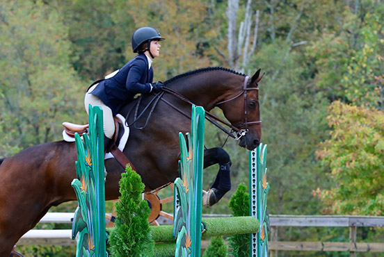 Stella Wasserman and Cohiba VDL 2019 Capital Challenge Equitation 13–14 Photo by Laura Wasserman