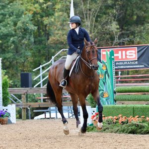 Stella Wasserman and Cohiba VDL 2019 Capital Challenge Equitation 13–14 Photo by Laura Wasserman