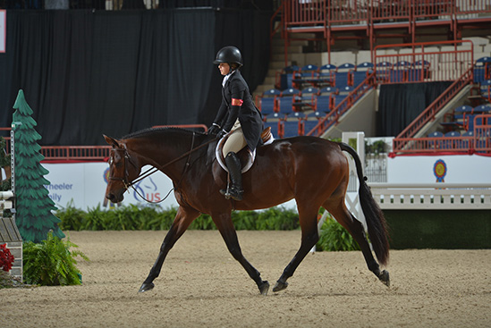 Stella Wasserman and Laura Wasserman's Boss 2019 Pennsylvania National Grand Champion Small Junior Hunter