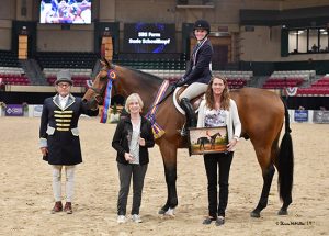 Teton Farm's Favorite and Karli Postel 2019 Capital Challenge World Champion Hunter Rider Senior Under Saddle Champion Photo by Shawn McMillen