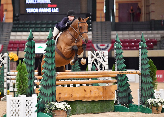 Teton Farm's Favorite and Karli Postel 2019 Capital Challenge Regular Conformation Hunter Photo by Shawn McMillen