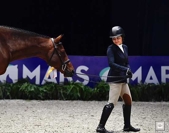 Violet Lindemann Barnett and Luscious Small Junior Hunter 16-17, Reserve Champion 2019 Washington International Horse Show Photo by Alden Corrigan Media