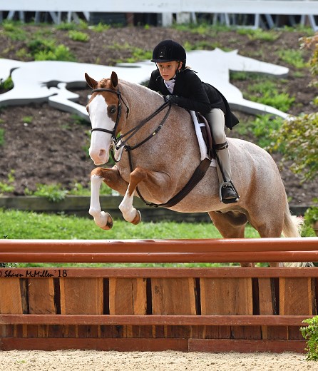 Alpine Griffin and Halcyon Epic Icon 2019 USEF Pony Finals Photo by Shawn McMillen