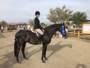 Eva Tarpey and Barbara Borg's Limousine Children's Hunter 2019 HITS Desert Circuit