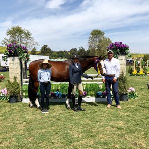 Jaime Krupnick and Conux 2019 Blenheim Oaks Spring Classic Champion A/O Hunter 36 & Over