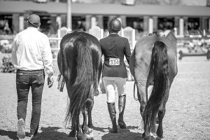 Jorge Hidalgo Duran with Verdi and Sig Careful Circuit Champion and Reserve Circuit Champion Low Adult Jumper 2019 HITS Desert Circuit