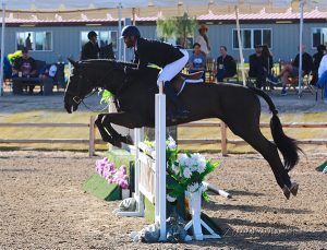 Jorge Hidalgo Duran and Charlie Boy Amateur Owner Hunter 36 & Over 2019 HITS Desert Circuit