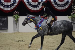 Karli Postel and Banksy 2018 Capital Challenge WCHR Emerging Professional National Champion Photo by Emily Williams