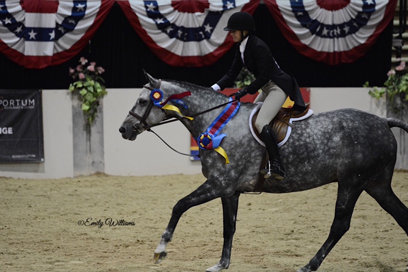 Karli Postel and Banksy 2018 Capital Challenge WCHR Emerging Professional National Champion Photo by Emily Williams