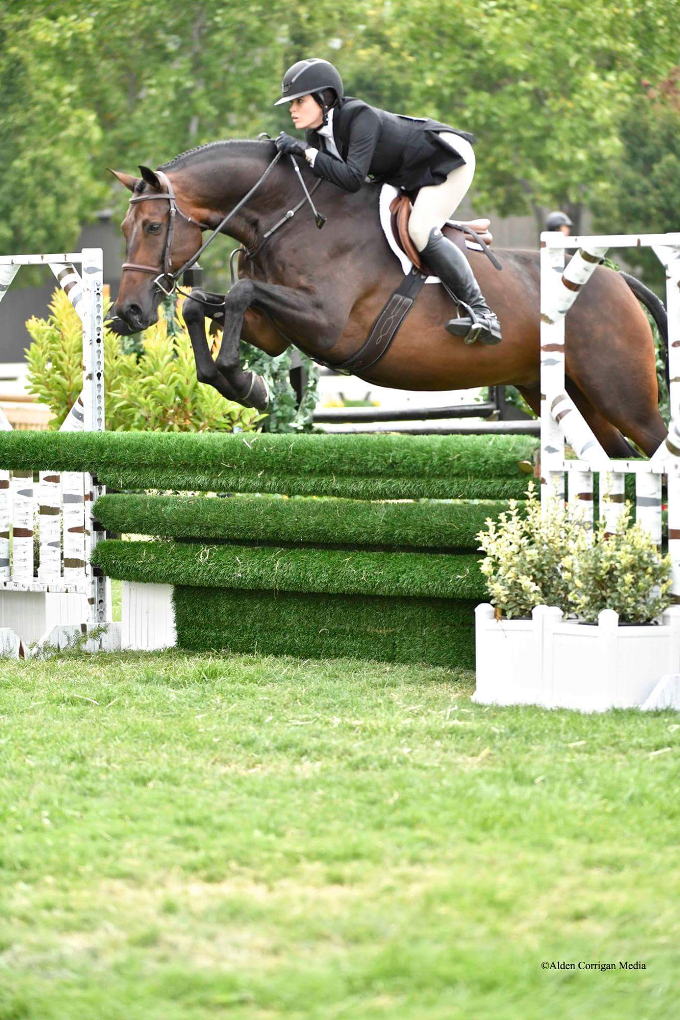 Lindsay Maxwell and Belgravia 2017 Menlo Charity Horse Show Amateur Owner Hunter 18-35