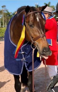 Lindsay Maxwell's Technicolor Champion Amateur Owner Hunter 2017 Wellington