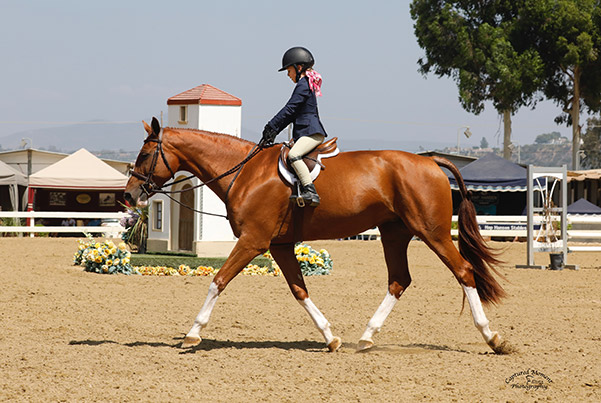 Megan Sweeney and Polly Sweeney's Duet 2019 Showpark of San Diego Photo by Captured Moment Photography