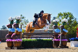 Stella Wasserman and Ecole Nauber's Banderas Large Junior Hunter 2019 Giant Steps Charity Classic