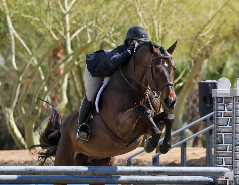 Stella Wasserman and Outshine Champion Large Junior Hunter Weeks 2, 3, 6 2020 Desert Circuit