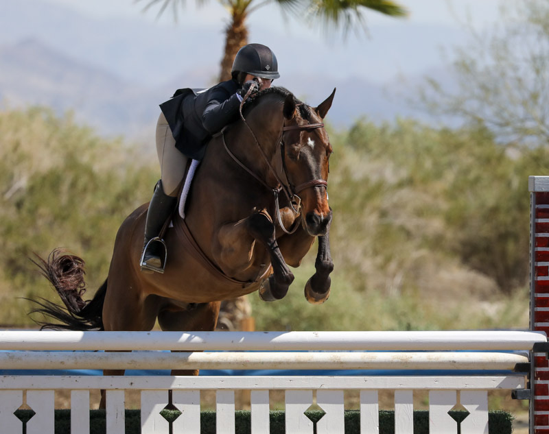 Stella Wasserman and Outshine Champion Large Junior Hunter Weeks 2, 3, 6 2020 Desert Circuit