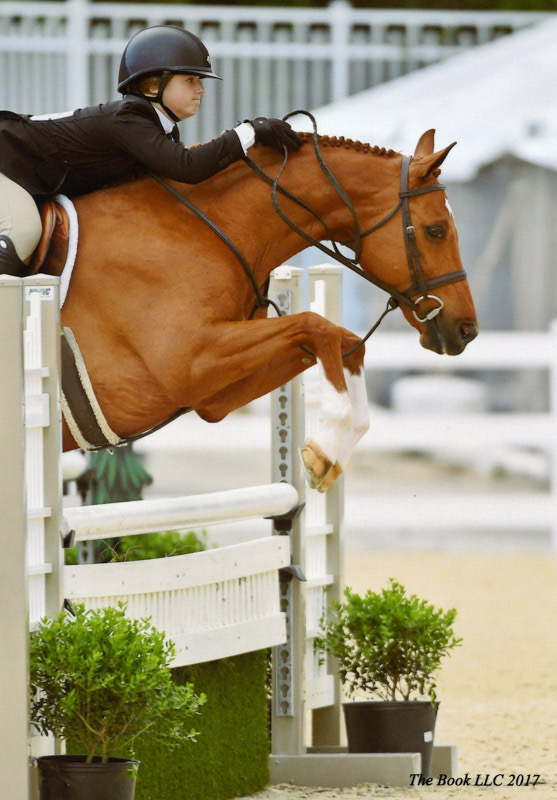 Stella Wasserman and Spellbound Champion Large Junior Hunter 2017 Devon Horse Show Photo by The Book LLC