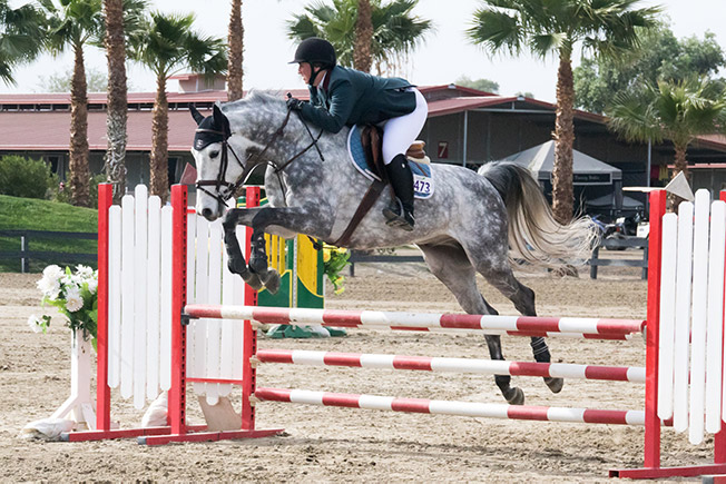 Bridget Samuels and Dapper Low Adult Amateur Jumpers 2016 HITS Desert Circuit Photo by Chelsea Samuels