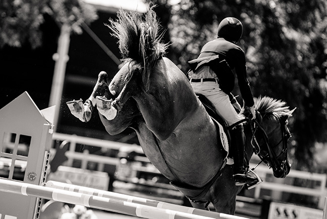 Trent McGee and Boucherom 2020 Del Mar Summer Classic Photo by Sara Shier Photography