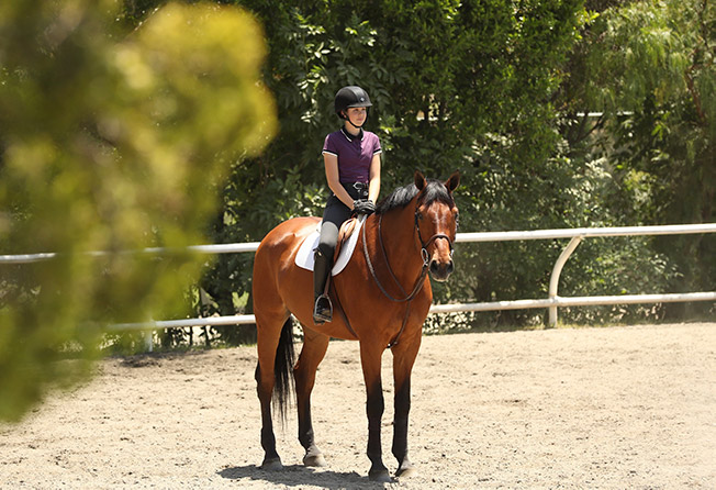 Vivienne Wood and Way Out West 2020 Brookway Stables Lessons at Home