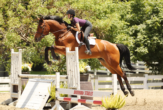 Vivienne Wood and Way Out West 2020 Brookway Stables Lessons at Home