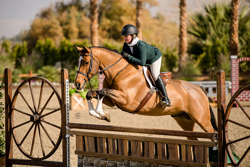 Violet Tatum and Fred the Horse Jr Hunters 3'6" 15 & U 2020 Desert Holiday Photo by Sara Shier