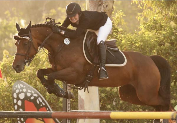 hollywood classic horse show