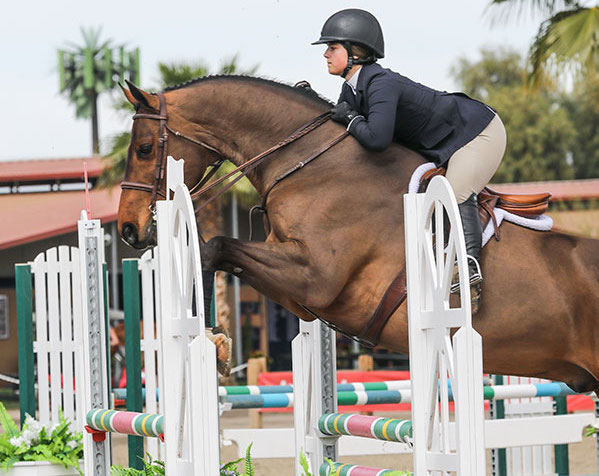 Stella Wasserman Cohiba equitation desert circuit