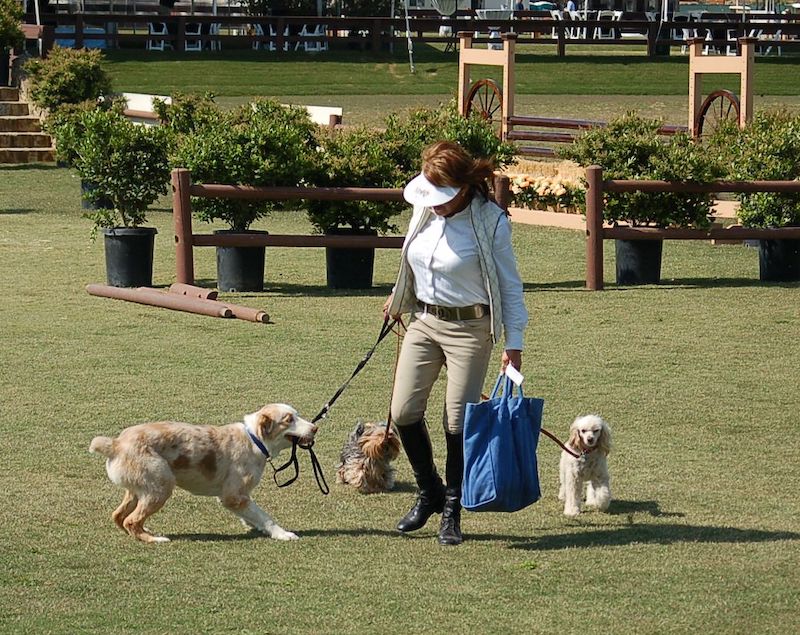 Samantha Mellencamp, Bella Fraze, and Monkey Fraze walk Jane Fraze