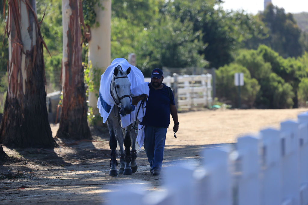 2023 HITS Del Mar