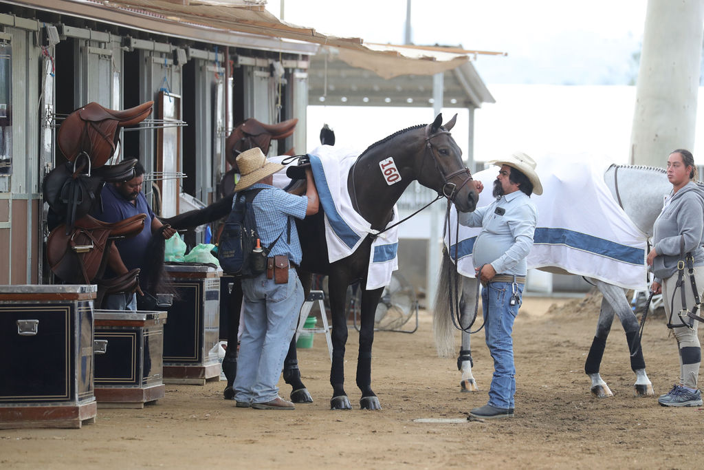 Brookway Stables Barn Activities 2023 HITS Del Mar