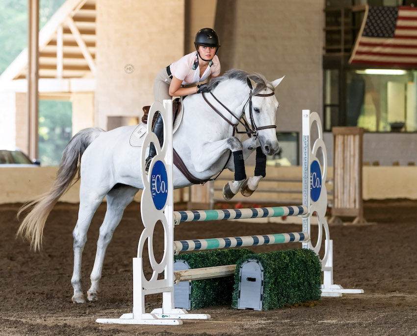 Archie Cox - Guest Clinician 2023 GHJA Educational Festival Will Parks Equestrian Center Alpharetta, GA Hallie Burden Photography