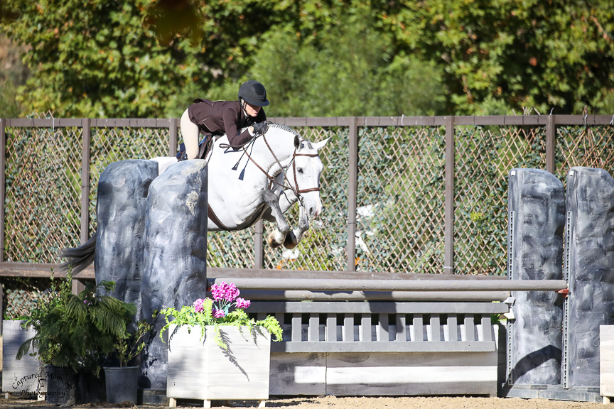 Julie Henderson and Major VF 3'3" Amateur Owner Hunter, 36 & Over 2023 Temecula Valley Horse Show 2 Photo by Captured Moment Photo