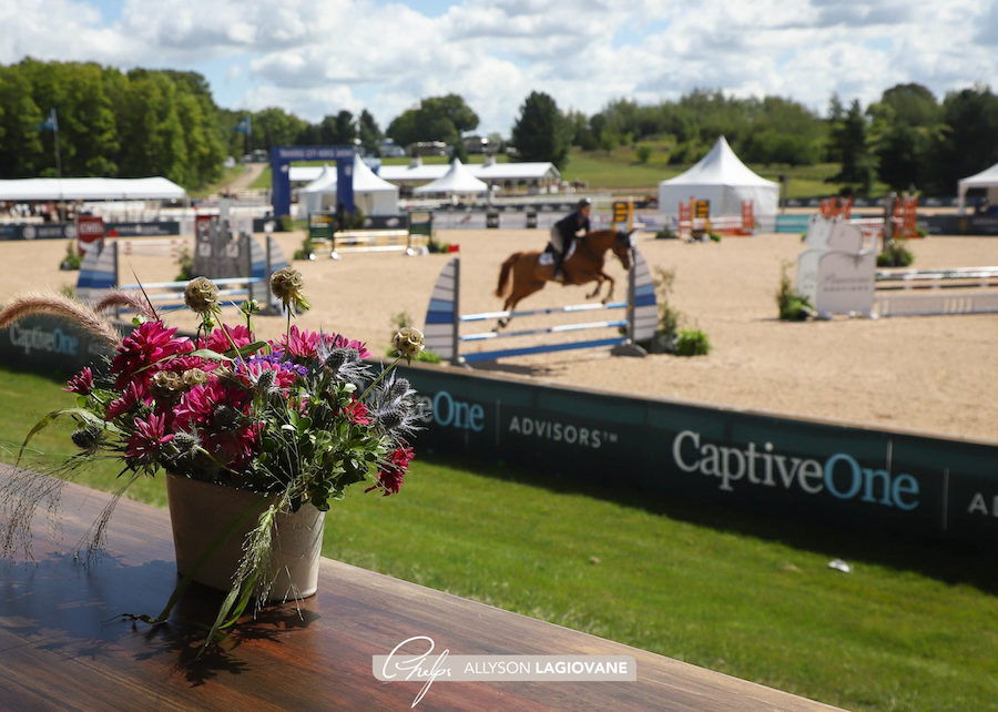 Traverse City Horse Show