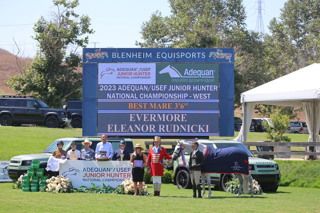 Evermore, owned by Tatum Equestrian, LLC Best Mare 3'6" Ridden by Eleanor Rudnicki 2023 Adequan/USEF Junior Hunter National Championship - West