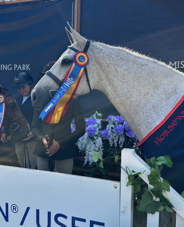 Evermore, owned by Tatum Equestrian, LLC Overall Grand Champion - West 3'6" Small Junior Hunter 16-17 2023 Adequan/USEF Junior Hunter National Championship - West