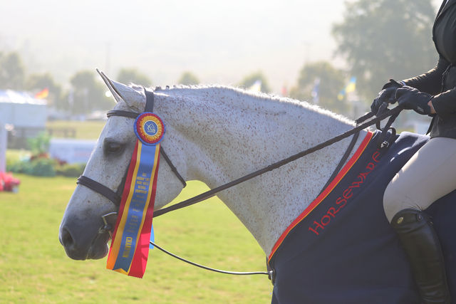 Evermore, owned by Tatum Equestrian, LLC Overall Grand Champion - West 3'6" Small Junior Hunter 16-17 2023 Adequan/USEF Junior Hunter National Championship - West