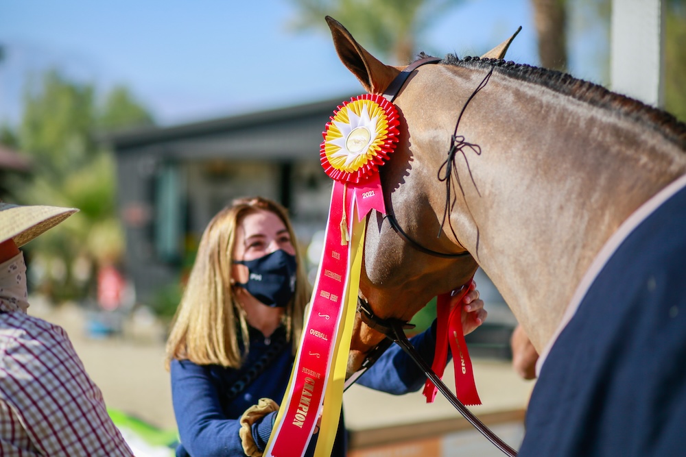 Ecole Nauber with Eclair USHJA International Hunter Derby Reserve Champion, ridden by Nick Haness 2020 Desert Holiday II