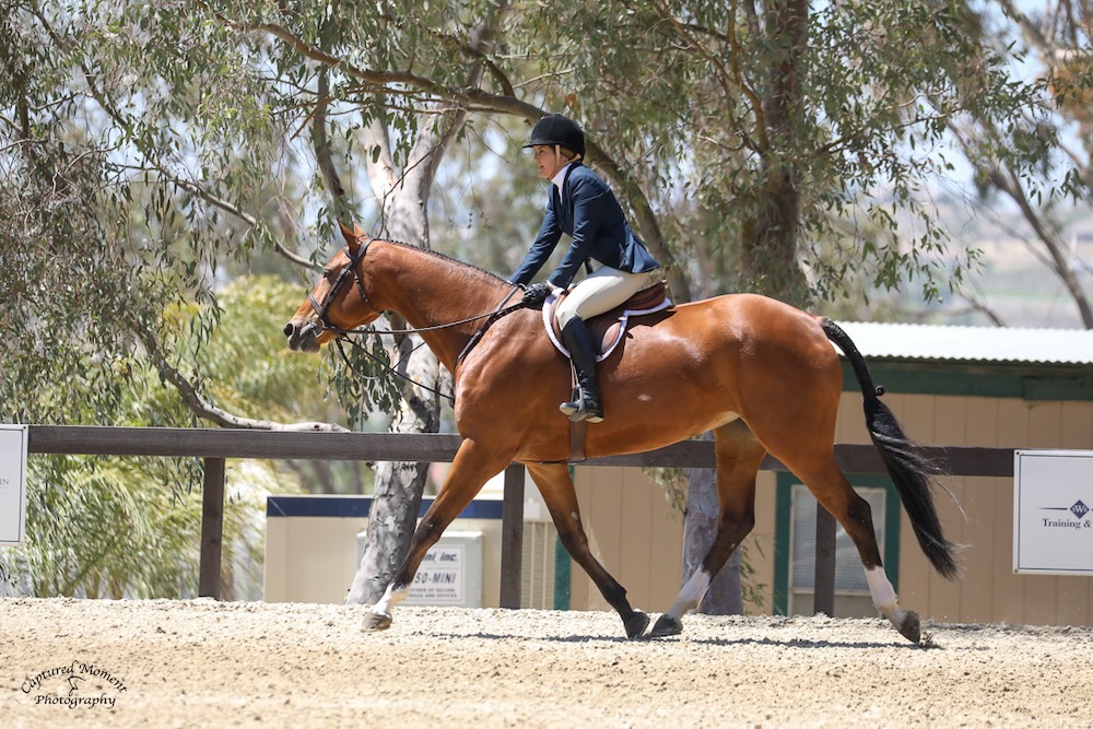 Ecole Lathrop & Eclair Amateur Owner Hunter Temecula Valley National 2021 Photo by Captured Moments Photography
