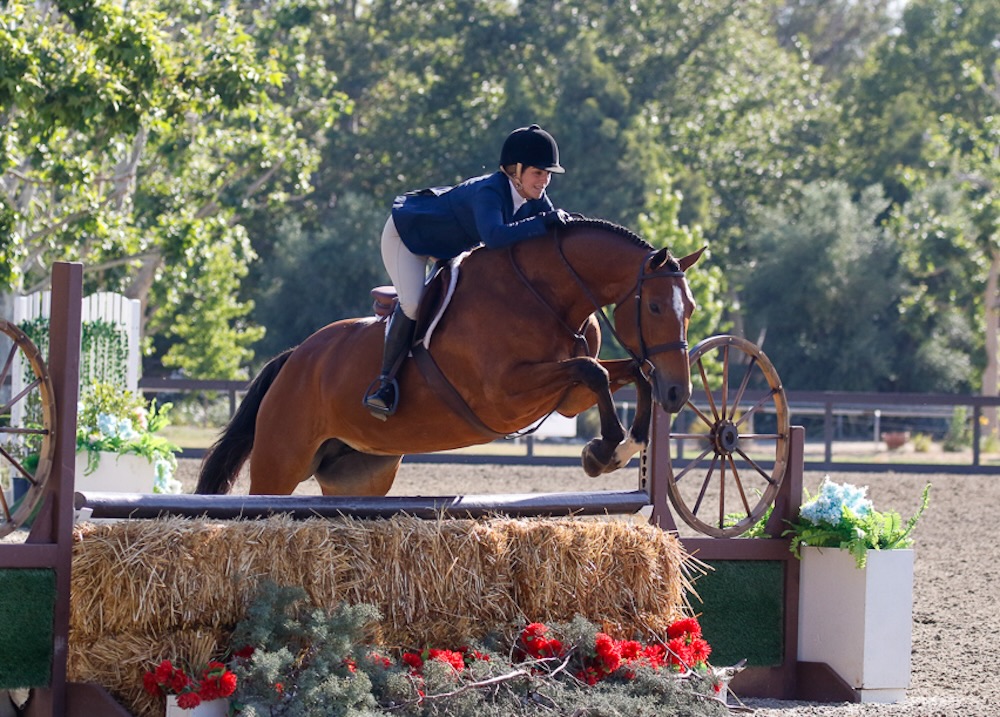 Ecole Lathrop & Eclair Amateur Owner Hunter Temecula Valley National 2021 Photo by Captured Moments Photography