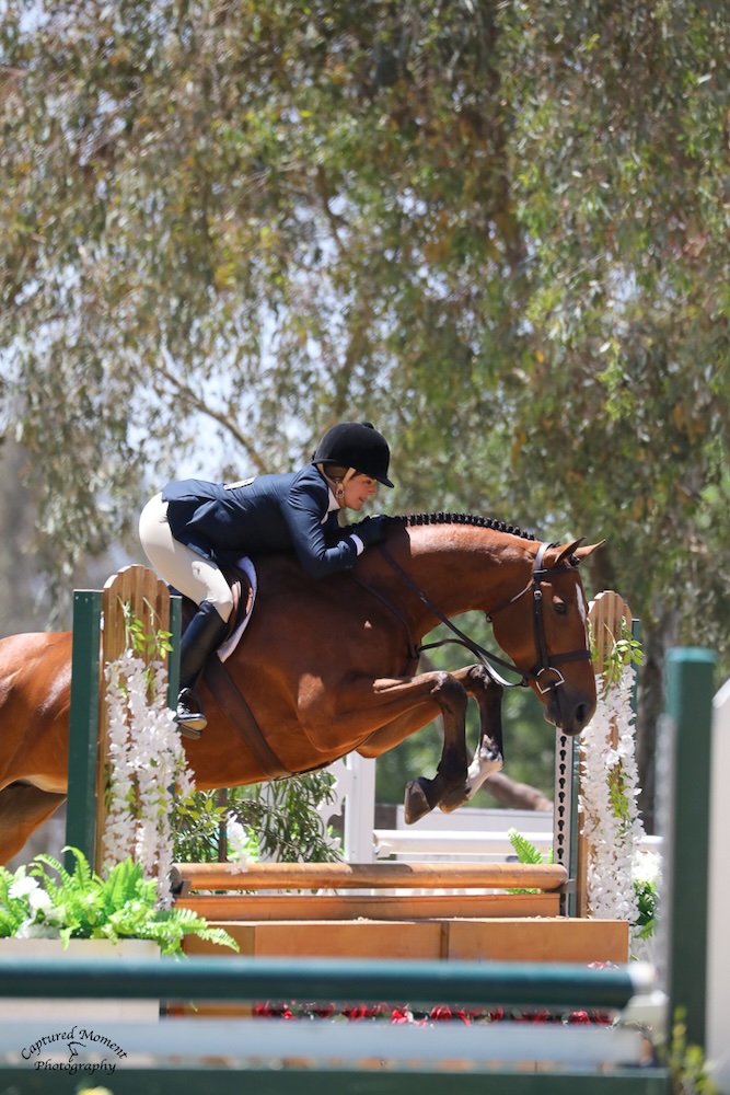 Ecole Lathrop & Eclair Amateur Owner Hunter Temecula Valley National 2021 Photo by Captured Moments Photography