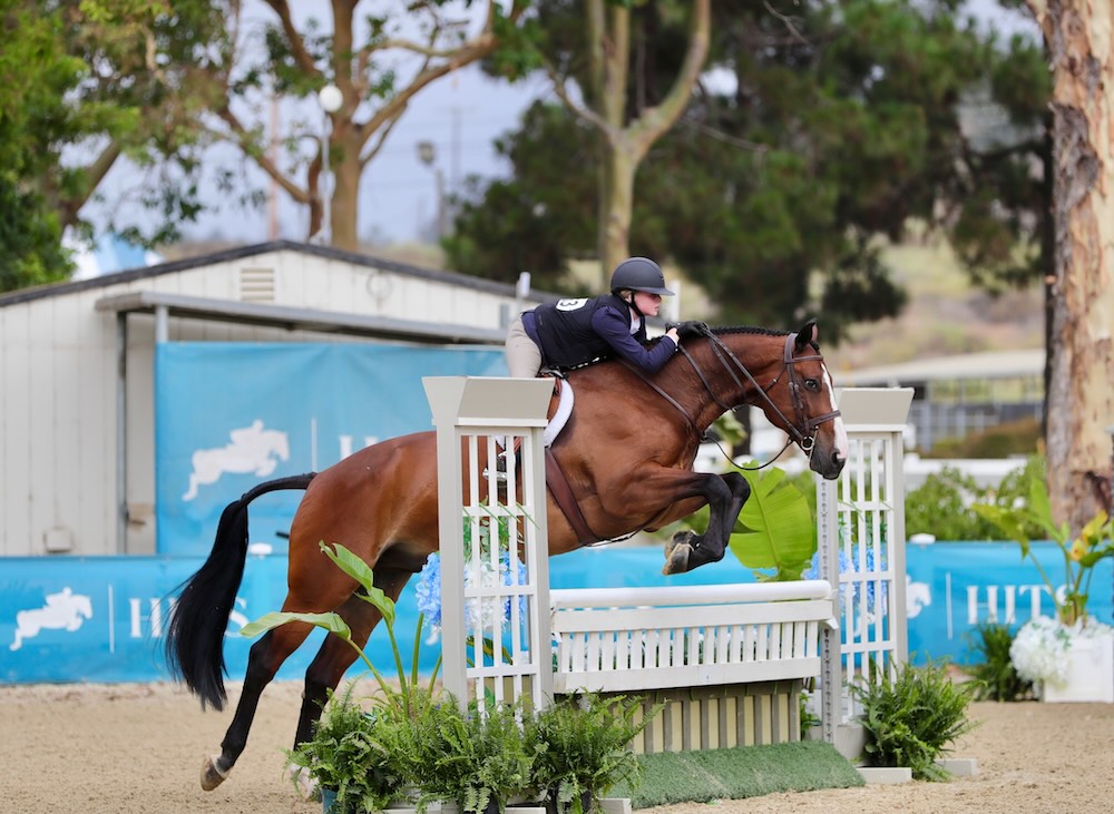 Eva Lipman and Mercator E' Champion, Large Junior Hunter 3'3" 2025 HITS Del Mar Summer Festival 2 Photo by High Desert