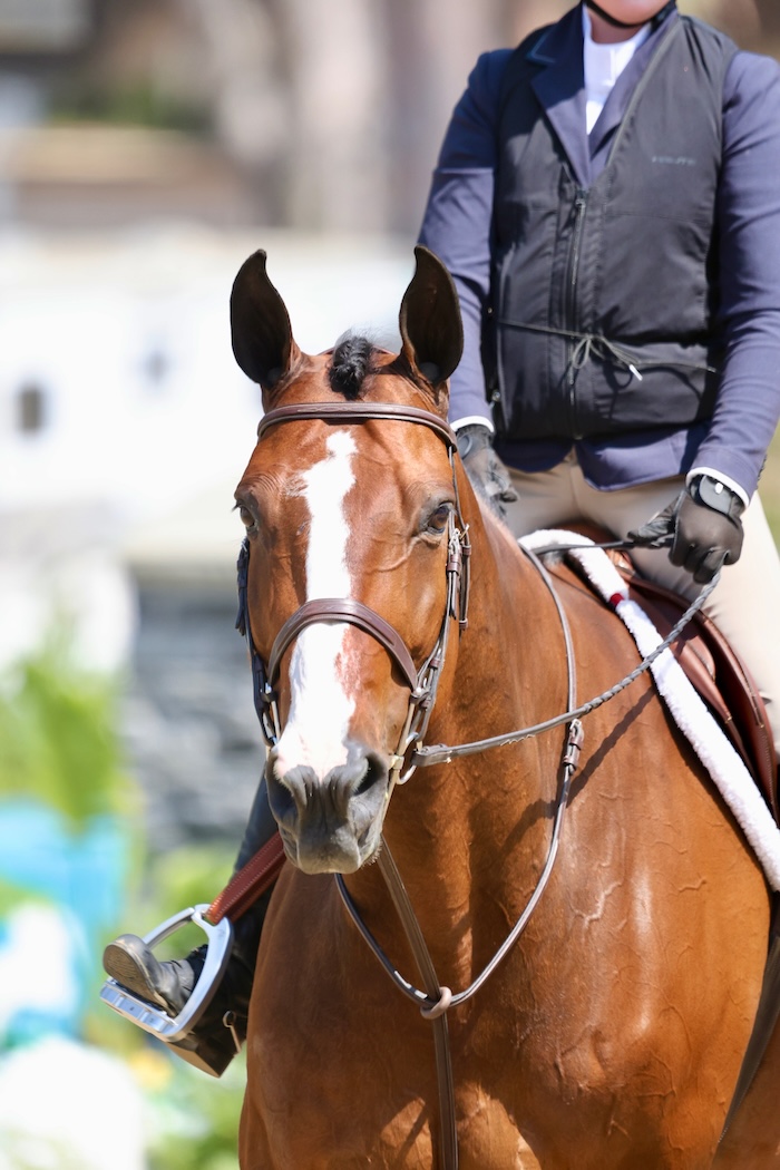 Eva Lipman and Mercator E' Champion, Large Junior Hunter 3'3" 2025 HITS Del Mar Summer Festival 2 Photo by High Desert