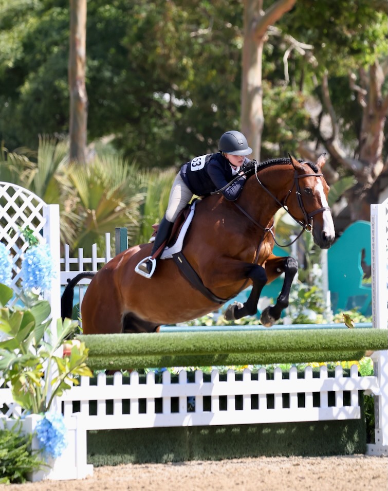 Eva Lipman and Mercator E' Champion, Large Junior Hunter 3'3" 2025 HITS Del Mar Summer Festival 2 Photo by High Desert